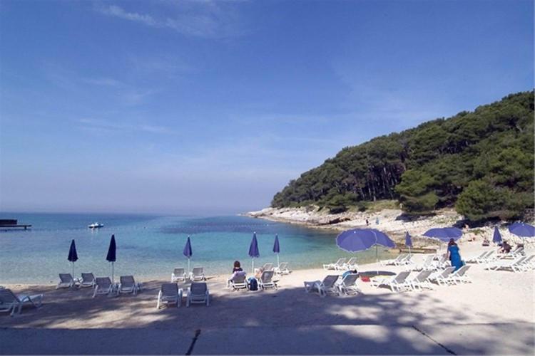 Apartman Tisa *
